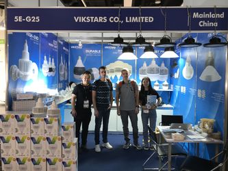 Vikstars Co., Limited productielijn van de fabrikant