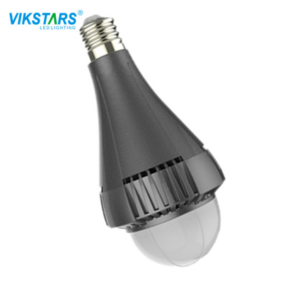 SMD3030 LEIDENE Grote Bol 100lm/Hoge het Lumene39 E40 Basis van W voor Fabrieksworkshop